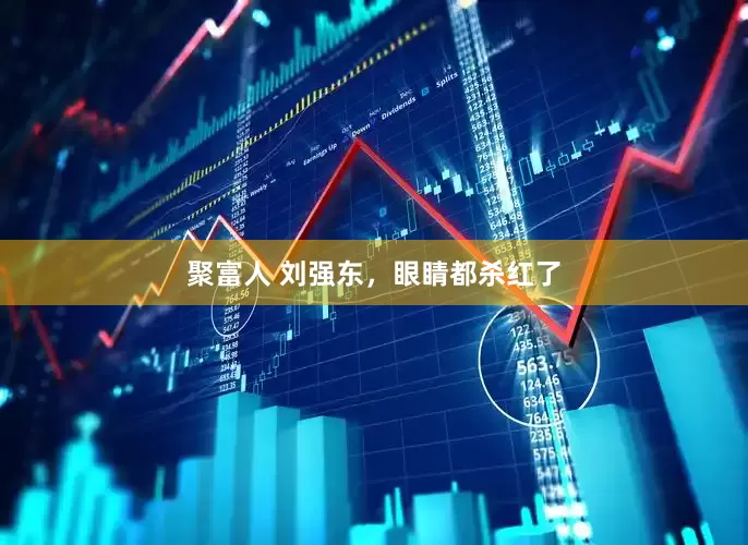 聚富人 刘强东，眼睛都杀红了
