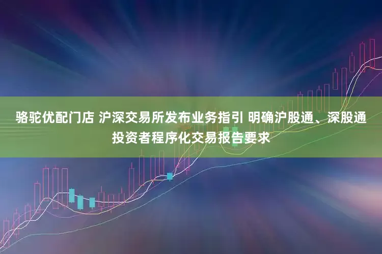骆驼优配门店 沪深交易所发布业务指引 明确沪股通、深股通投资者程序化交易报告要求