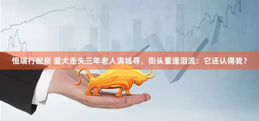 恒瑞行配资 爱犬走失三年老人满城寻，街头重逢泪流：它还认得我？