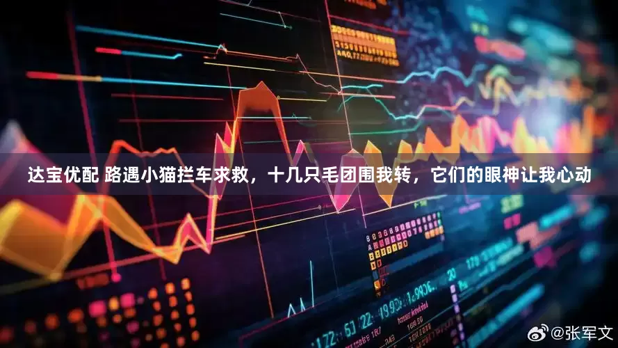 达宝优配 路遇小猫拦车求救，十几只毛团围我转，它们的眼神让我心动