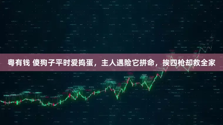 粤有钱 傻狗子平时爱捣蛋，主人遇险它拼命，挨四枪却救全家