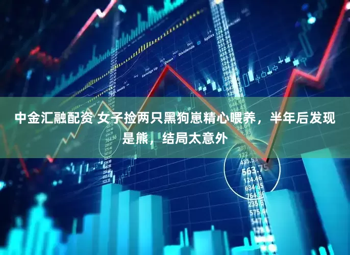中金汇融配资 女子捡两只黑狗崽精心喂养，半年后发现是熊，结局太意外