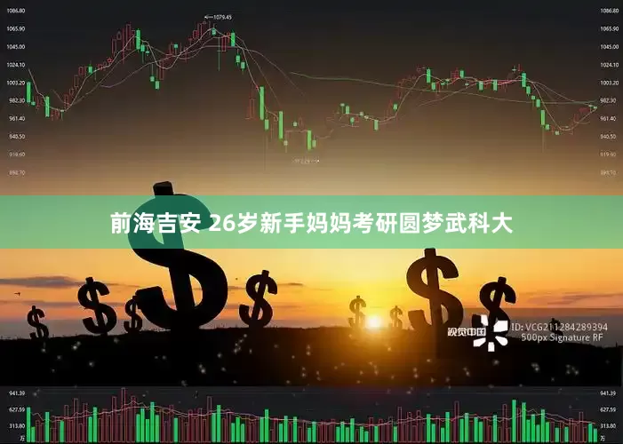 前海吉安 26岁新手妈妈考研圆梦武科大
